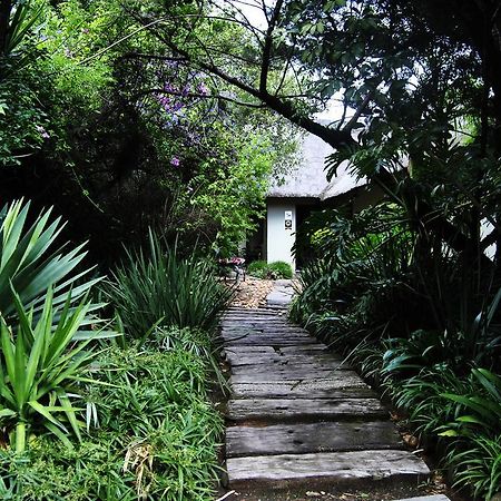 Birch Tree Cottage Johannesburg Luaran gambar
