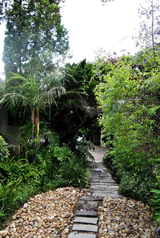 Birch Tree Cottage Johannesburg Luaran gambar