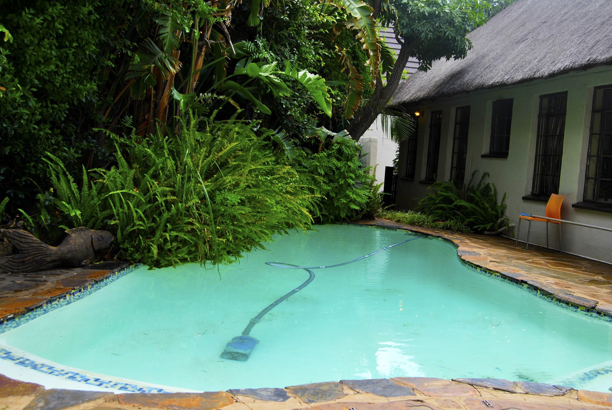 Birch Tree Cottage Johannesburg Luaran gambar